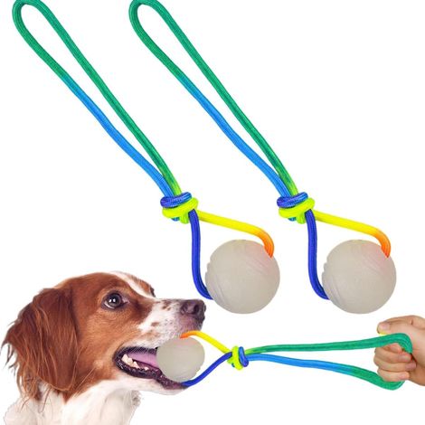 Lot de 2 Balles pour Chien avec Corde en TPR Phosphorescentes - Jouet Interactif à Lancer et Rapporter - Balle de Dressage Robuste (1/5)