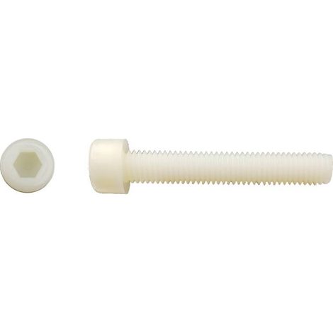 200 Vis Métaux Tête Cylindrique 6 Pans Creux CHC 6 x 25 mm - DIN 912 - Polyamide - D-Work