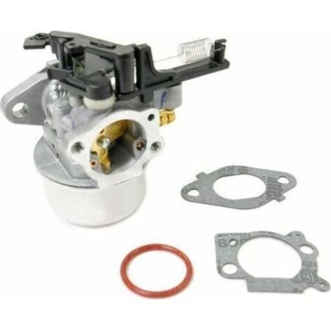Carburateur moteur Briggs & Stratton 591137 (1/4)