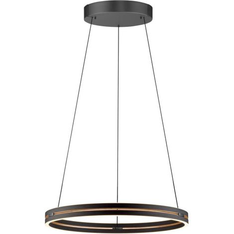 Lampe suspendue élégante Pure E-Loop noir Ø 70cm - 2551-18