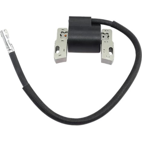 Neue Zündspule für Briggs & Stratton 495859, 491312, 490586, 492341, 28C707, 28D707, 31G777, 303447, 303777, 286702, 286707, passend für Head 10-13 PS und Vanguard 9 PS, 12,5 PS und 14 PS