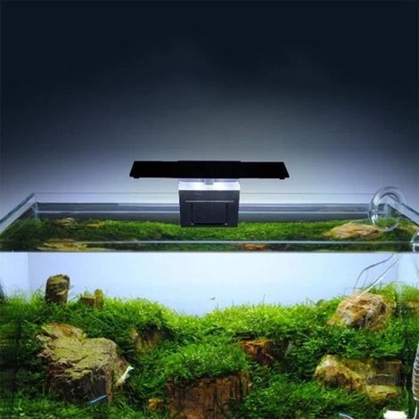Lampe LED étanche pour aquarium - Slim Led Aquarium Light - Noir - Poisson d\'eau froide - Eclairage (1/3)