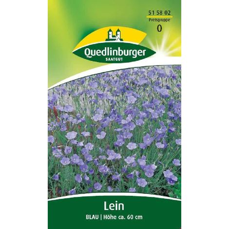 Quedlinburger Staudenlein Blau - Blumensamen (1/2)