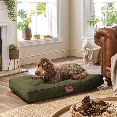 Paws for Slumber Padded Pet Bed, Green, Large