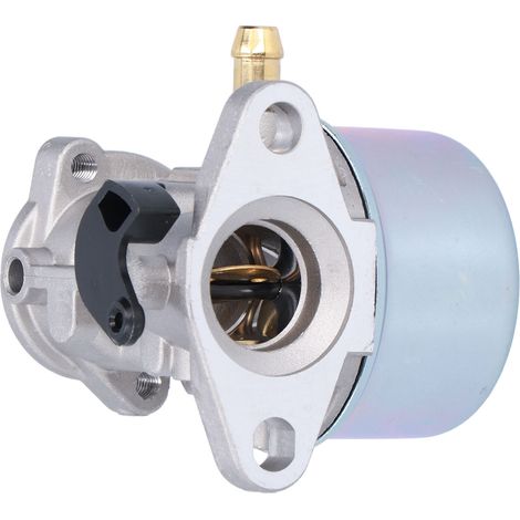 Composants de carburateur Craftsman pour moteurs Briggs & Stratton 799868, 498170, 799872 et 790821. (1/5)
