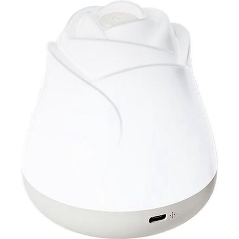 Lampe de table LED veilleuse rose, lampe fleur, veilleuse pour enfants, décoration d'intérieur (1/5)
