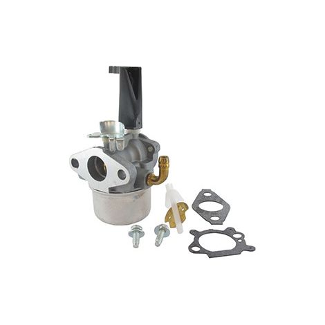 Carburateur Briggs & Stratton Pour Moteurs 190 Cc à Vilebrequin Horizontal  Se Monte Sur Les Séries : 110432, 110437, 110452, 11