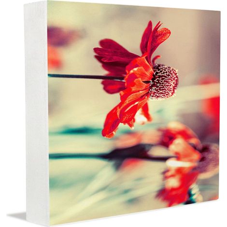 Cadre photo, décoration murale pour bureau, panneau en bois pour personnes d'âge mûr, décoration et présentoir pour bureau à domicile (1/5)
