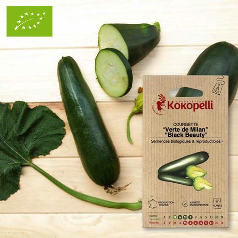 Courgette Verte de Milan