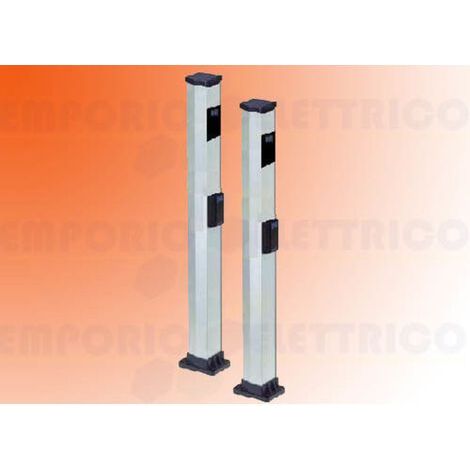 FAAC 401035 Doppelte hohe Säule aus Aluminium für XP20-XP30-Fotozellen und 100-cm-Höhenwähler (1/3)