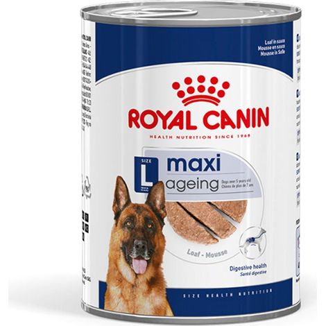 Royal Canin Hundenassfutter Senior 410 g Maxi Ageing Mousse