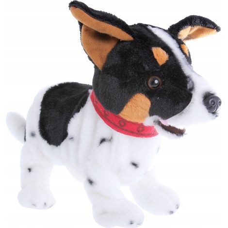 Figo Dog Interactive reagiert auf Befehle. Jack führt Befehle intelligent aus. (1/5)