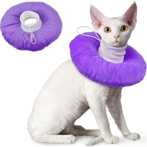 Collerette Chat, Colerette Chat Anti Lechage Collerette Chat Anti Grattage, Collier Lune Chat Réglable Collerette Chat Vétérinaire, Collerette Souple pour Chaton Chat, Violet S