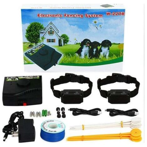 Collier anti-fugue pour clôture électrique pour chien avec colliers (1/2)