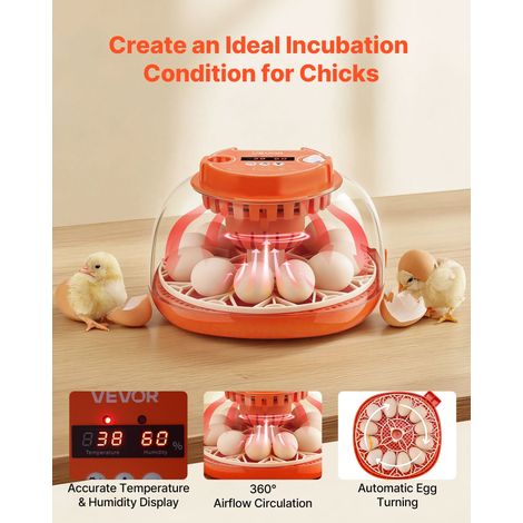 Couveuse Œuf Automatique 12 Œufs de Poule Incubateur Œuf pour Éclosion Œufs de Volaille Poussins Canetons Oies Cailles, avec Mire L… (1/5)