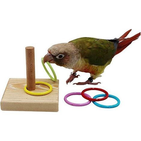 Anneau D'Entraînement - Jouet Interactif Empilable Pour Oiseaux - Base En Bois Avec Anneaux Acryliques - Pour Perroquets Et Oiseaux Moyens - Lot De 6 Pièces (1/5)