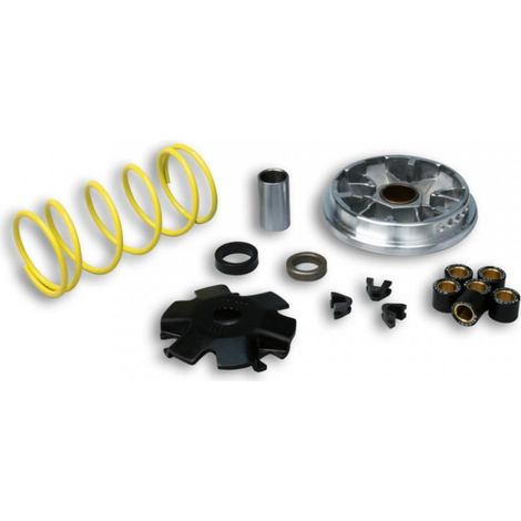 Inverter Malossi für Roller Derbi 50 Predator lc 2t Multivar /