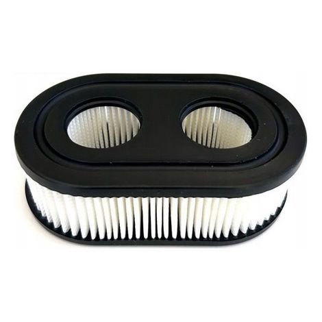 Filtro aria per Briggs 475isi 550e 575EX 625E 650E 675E 798452 593260