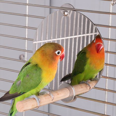 Cage à oiseaux en acier inoxydable avec miroir, support en bois, perchoir pour perroquets, jouet et accessoires. (1/5)