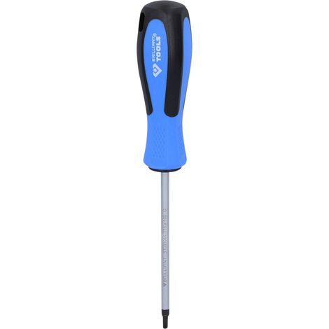 BRILLIANT TOOLS Tournevis TORX T15 x 100 mm - BT031044 (1/5)