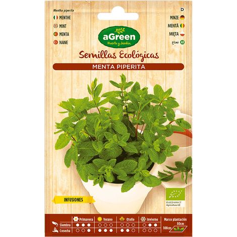 Sachet de graines de menthe éco Agreen (1/3)