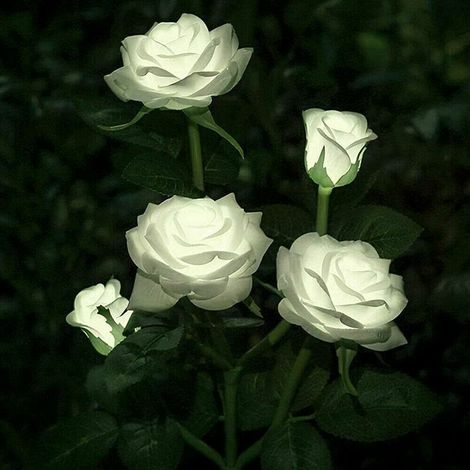 Aiducho – Künstliche rosa LED-Solarleuchten für den Außenbereich – IP65 wasserdicht – Garten, Terrasse, Balkon, Grabdekoration – Sanftes rosa Licht (1/5)