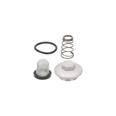 Komplettes Motorölablassschrauben-Set mit O-Ring, Filter und Feder für 50-150cc GY6 Baotian Benzhou Znen Taotao Motorradzubehör-Set-Crezuo