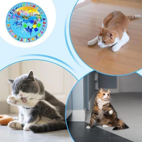 Tapis de jeu d'eau sensoriel pour chien, tapis de jeu d'eau pour chat (1/4)