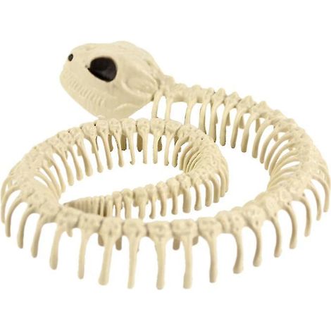 1 Stück Halloween-Tierskelett für Halloween-Dekorationen