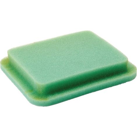 Filtre BRIGGS ET STRATTON 696263