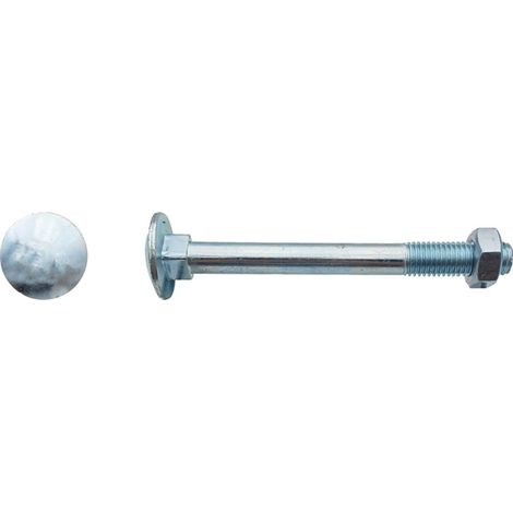 Boulon tête ronde collé carré (TRCC) Zingué - 8 x 16 mm - BIVI