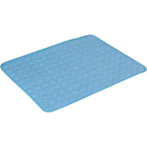 Kühlende Hundematte – Rutschfeste, atmungsaktive Matte aus hydrophilen Fasern – Für Hundebox oder Bodenbelag im Innenbereich – 60 x 40 cm – 1 Stück (1/5)