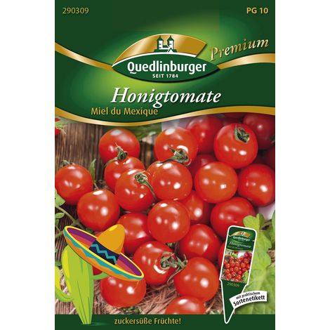 Quedlinburger Saatgut – Tomate cerise Miel du Mexique – Graines de légumes, variété non hybride, hauteur 120-150 cm (1/2)