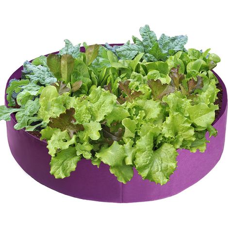 Sac De Culture - Tissu Non Tissé Respirant - Pour Pommes De Terre Légumes Et Fruits - 15/50/100 Galons - Rond (1/5)