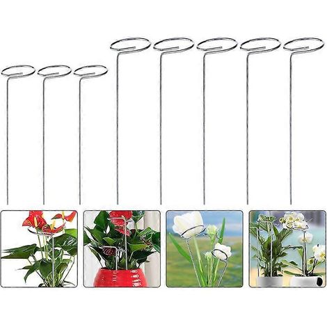 Lot de 8 tuteurs pour plantes grimpantes, supports à fleurs en fer pour le jardinage (1/5)