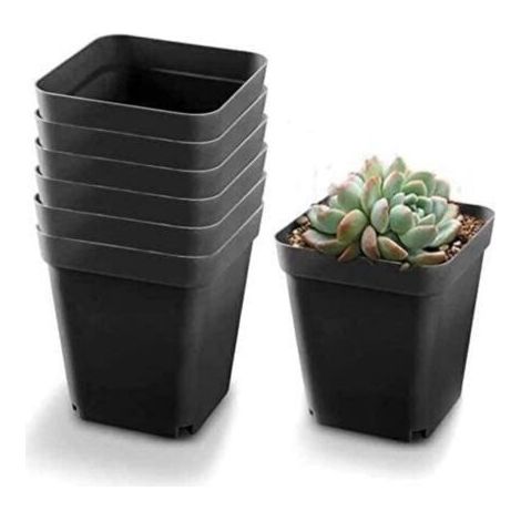 Godet pour Semis Noir 50Pcs - Carré Pots de Plantes en Plastique-Petit Pot de Fleur Interieur Exterieur (Noir/ 6x6x5.5cm)