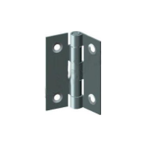 Charnière Inox Forte 75x50mm Résistance Et Durabilité Pour Usages Intensifs - Générique
