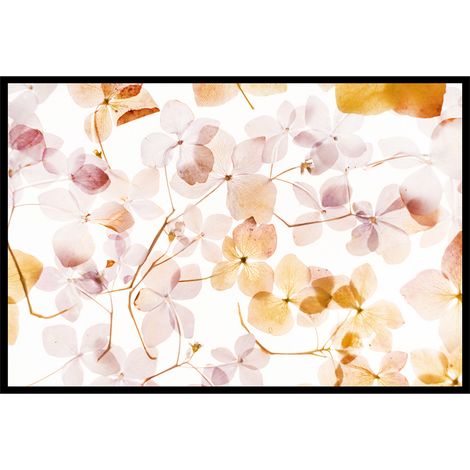 Affiche florale lumineuse affiche encadréee affiche cuisine (1/5)