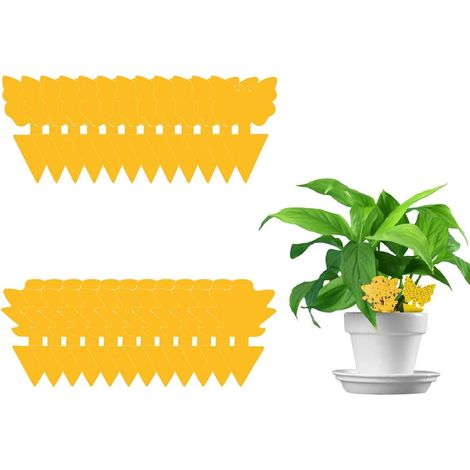 24 Pièges Collants, Couleur Jaune, Double Face, Pour Plantes D'intérieur (1/5)