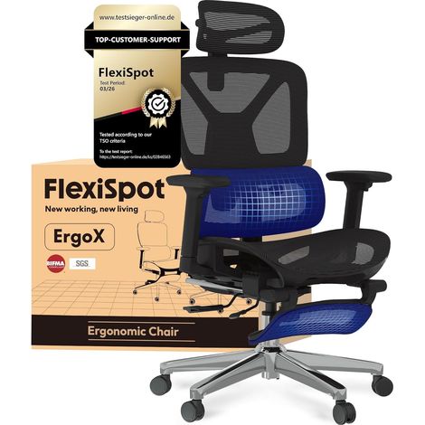 FlexiSpot ErgoX Chaise de Bureau Ergonomique avec Repose-pieds en Maille, Noir