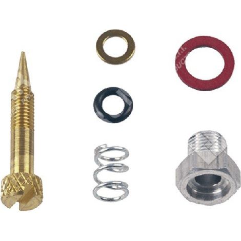 Kit Vite regolazione per carburatori BRIGGS & STRATTON 99525 COMPATIBILE - 006663