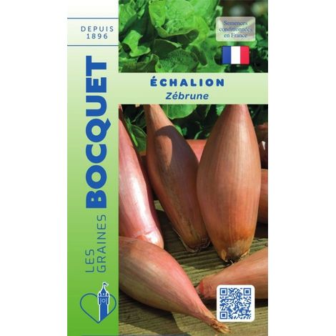 Echalion Zébrune - type cuisse de poulet - 1g (1/2)