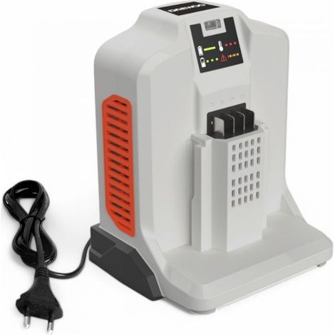 Chargeur rapide 62V 4A pour batterie DAEWOO DALCH62-4A (1/2)