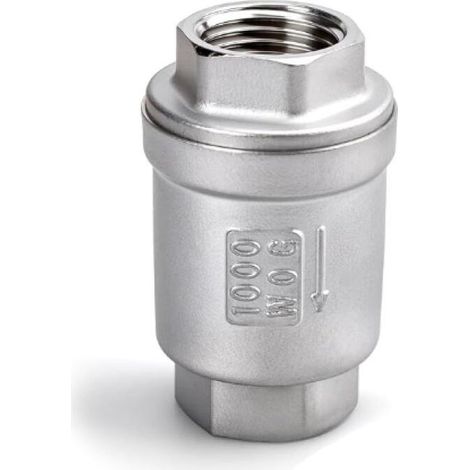 1 clapet anti retour, 1 "BSP femelle acier inoxydable 304 vertical en ligne clapet à ressort, anti retour (1/5)
