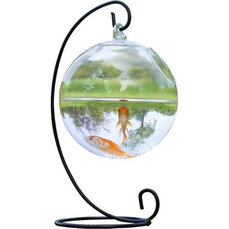 Aquarium Suspendu - Boule En Verre 12 cm - Support En Fer - Décoration Bureau Maison - 1 Pièce (1/5)