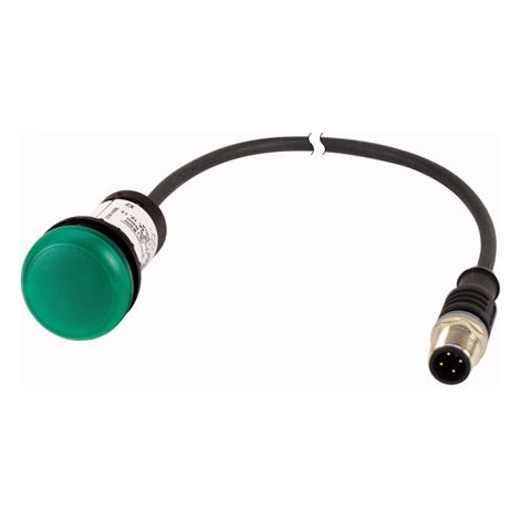 Voyant lumineux allumé en vert 24 V avec câble 0 5m et connecteur mâle M12A EATON C22-L-G-24-P3