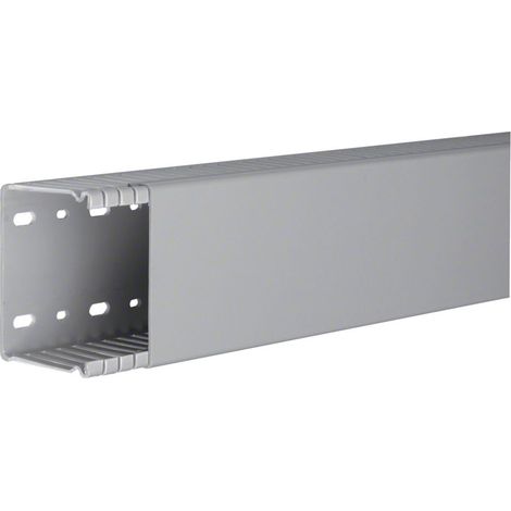 Tehalit Verdrahtungskanal BA6 60080B gr 2 Stk
