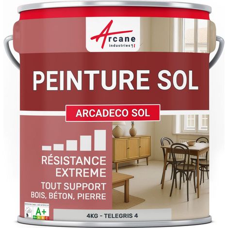Peinture Sol Intérieur Velours Polyuréthane - 4 kg Telegris 4 - RAL 7047 - ARCANE INDUSTRIES (1/5)
