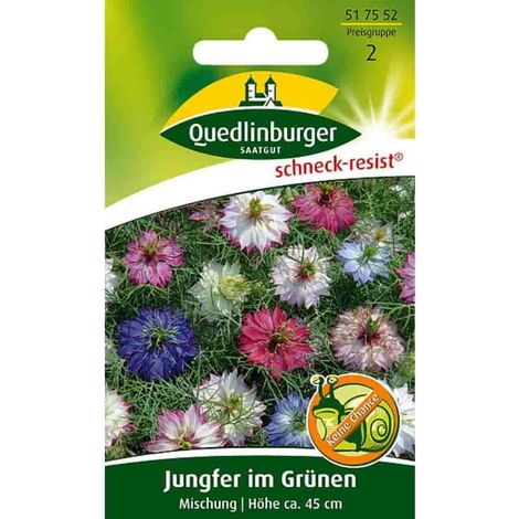 Quedlinburger Jungfer im Grünen Mischung - Blumensamen (1/2)