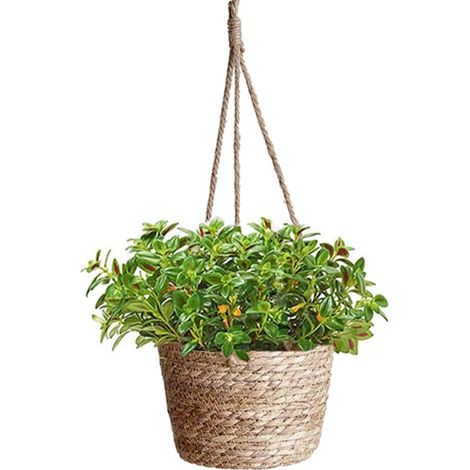 Jute Rope Hanging Flower Pot, Woven Basket, Plant Pots, Planter, Basket for Plants, Indoor Outdoor Sea Grass (1/5)